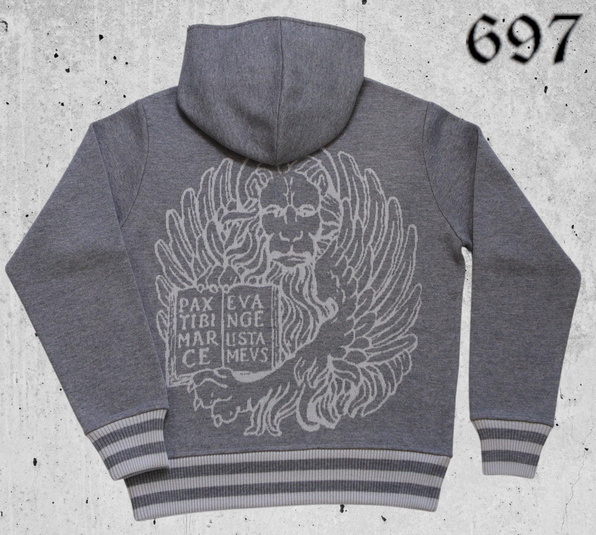 Maglione hoodie college con leone in moeca