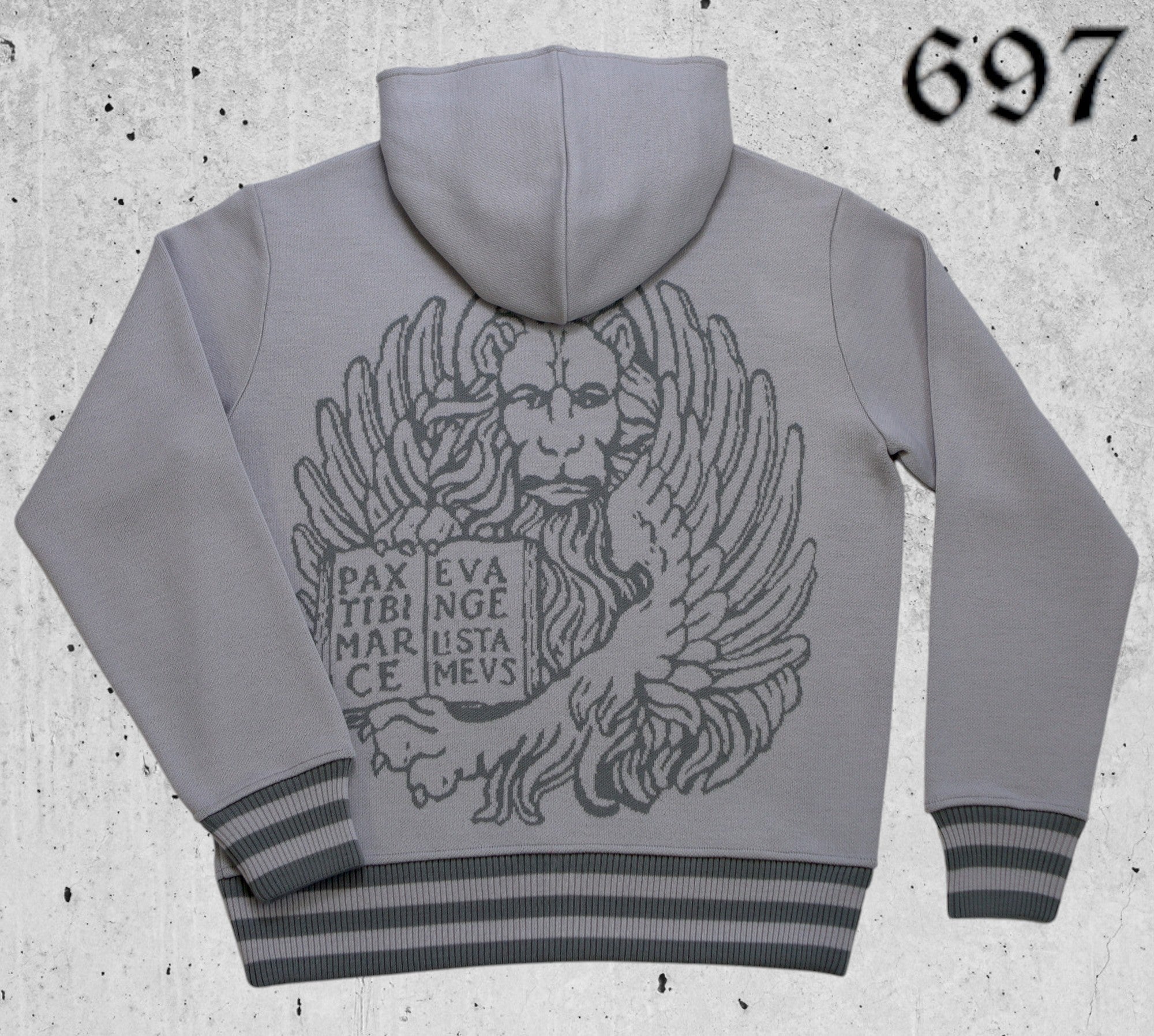 Maglione hoodie college con leone in moeca