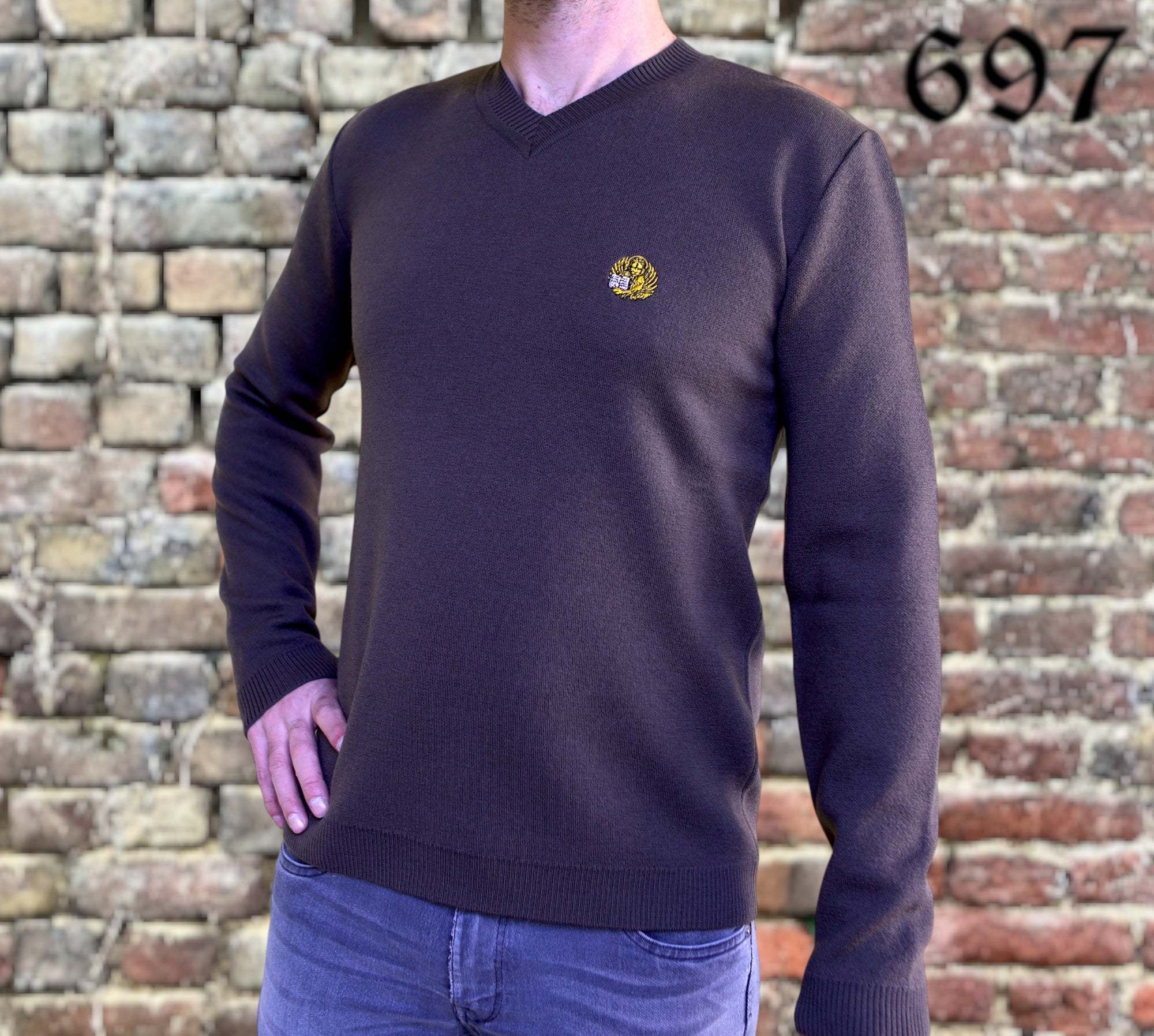 Maglione scollo V in lana con leone in moeca