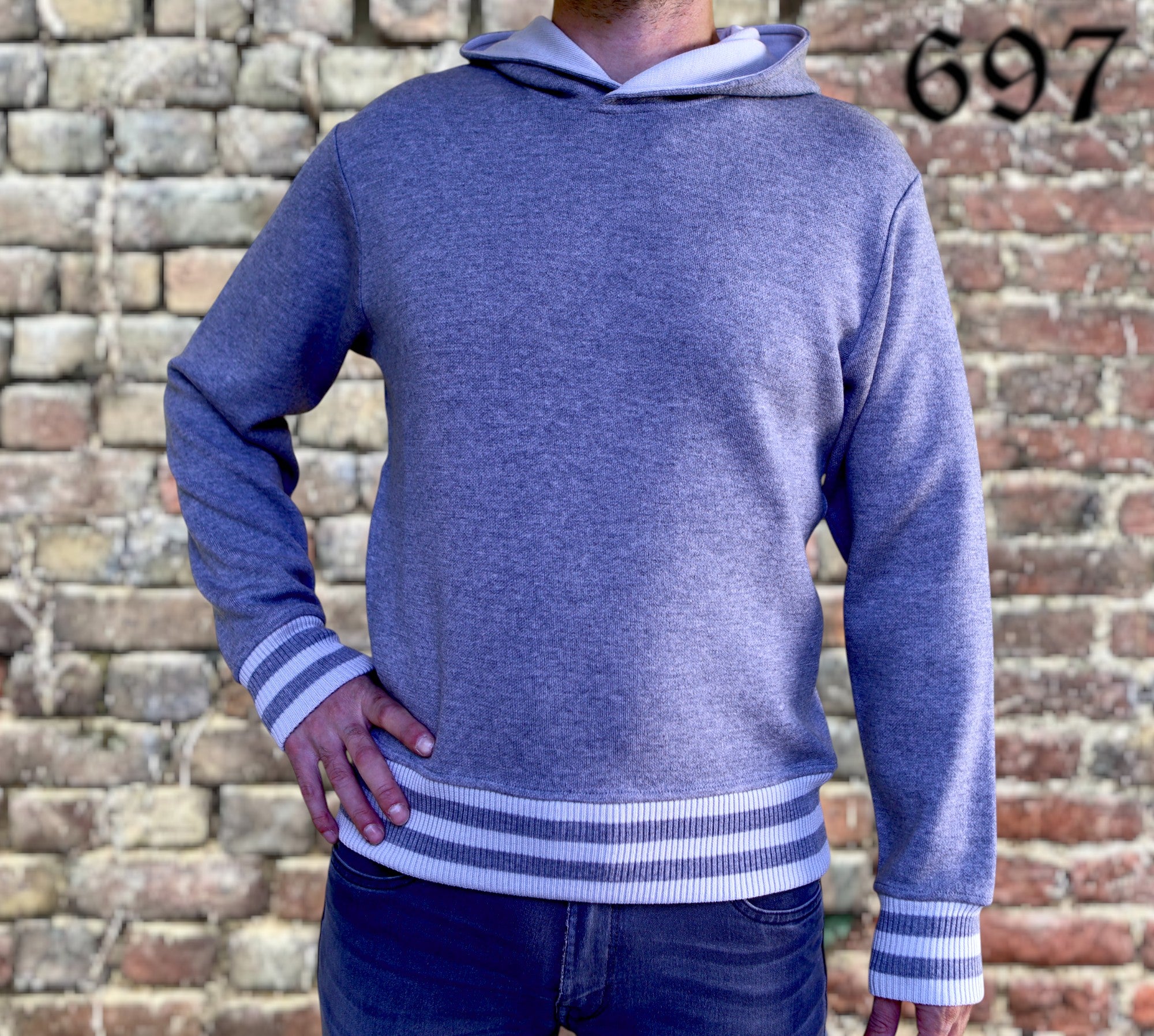 Maglione hoodie college con leone in moeca