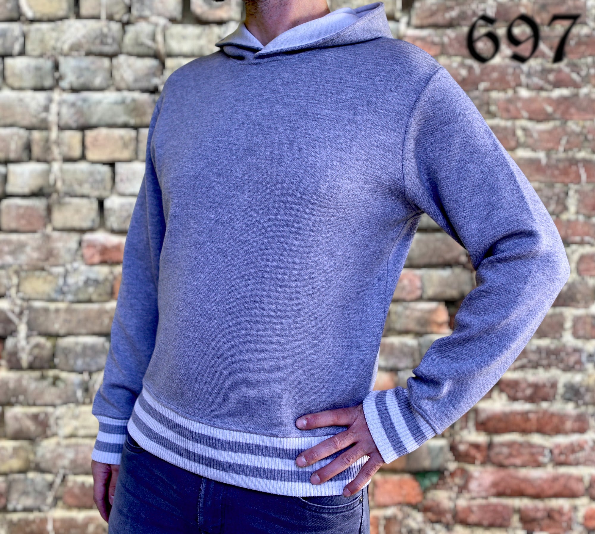 Maglione hoodie college con leone in moeca