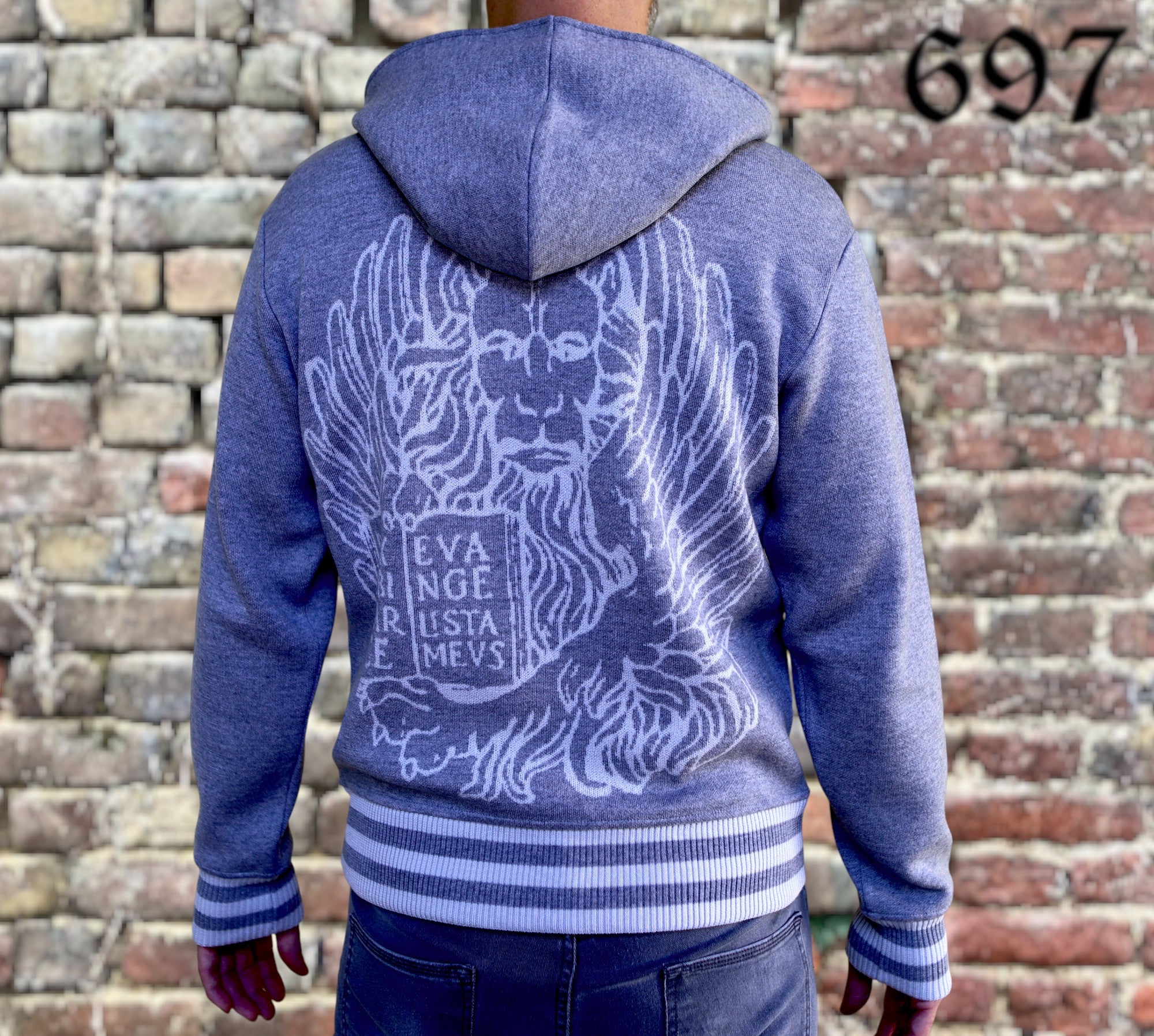 Maglione hoodie college con leone in moeca