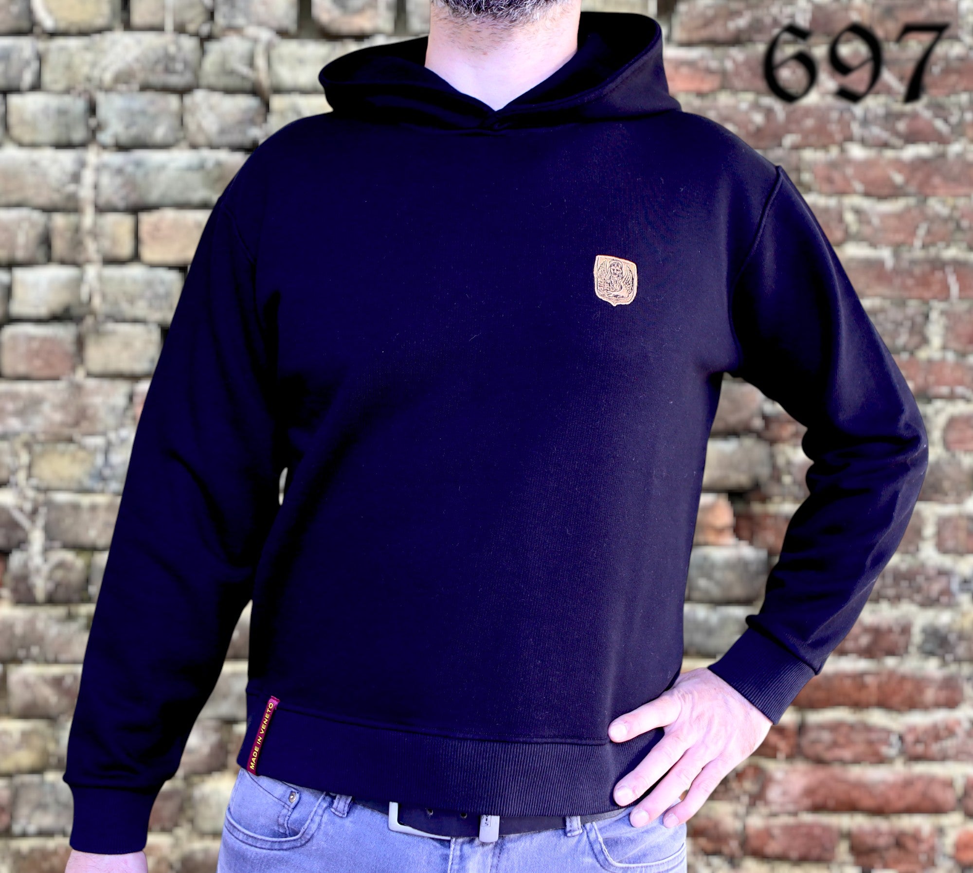 Felpa con cappuccio leone San Marco