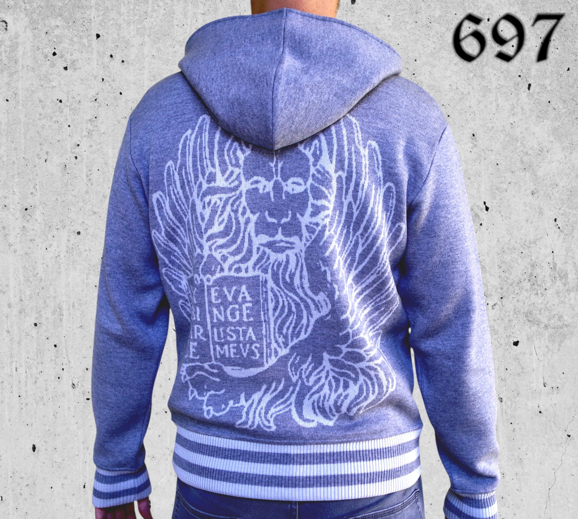 Maglione Hoodie College con Leone in Moeca