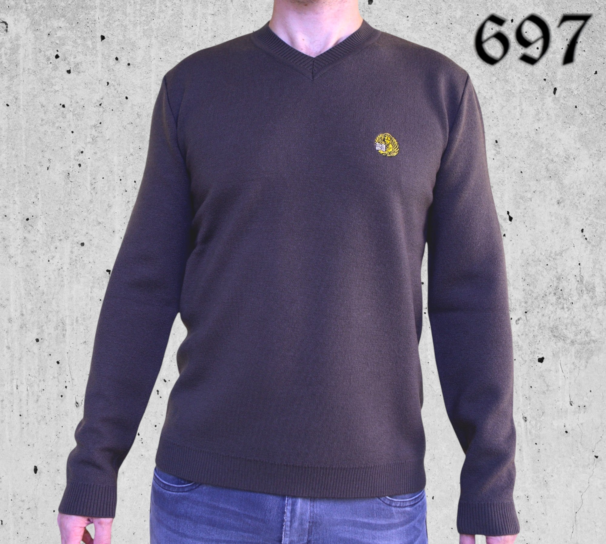 Maglione Scollo V in Lana con Leone in Moeca